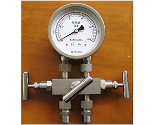 绍兴差压表带三阀组